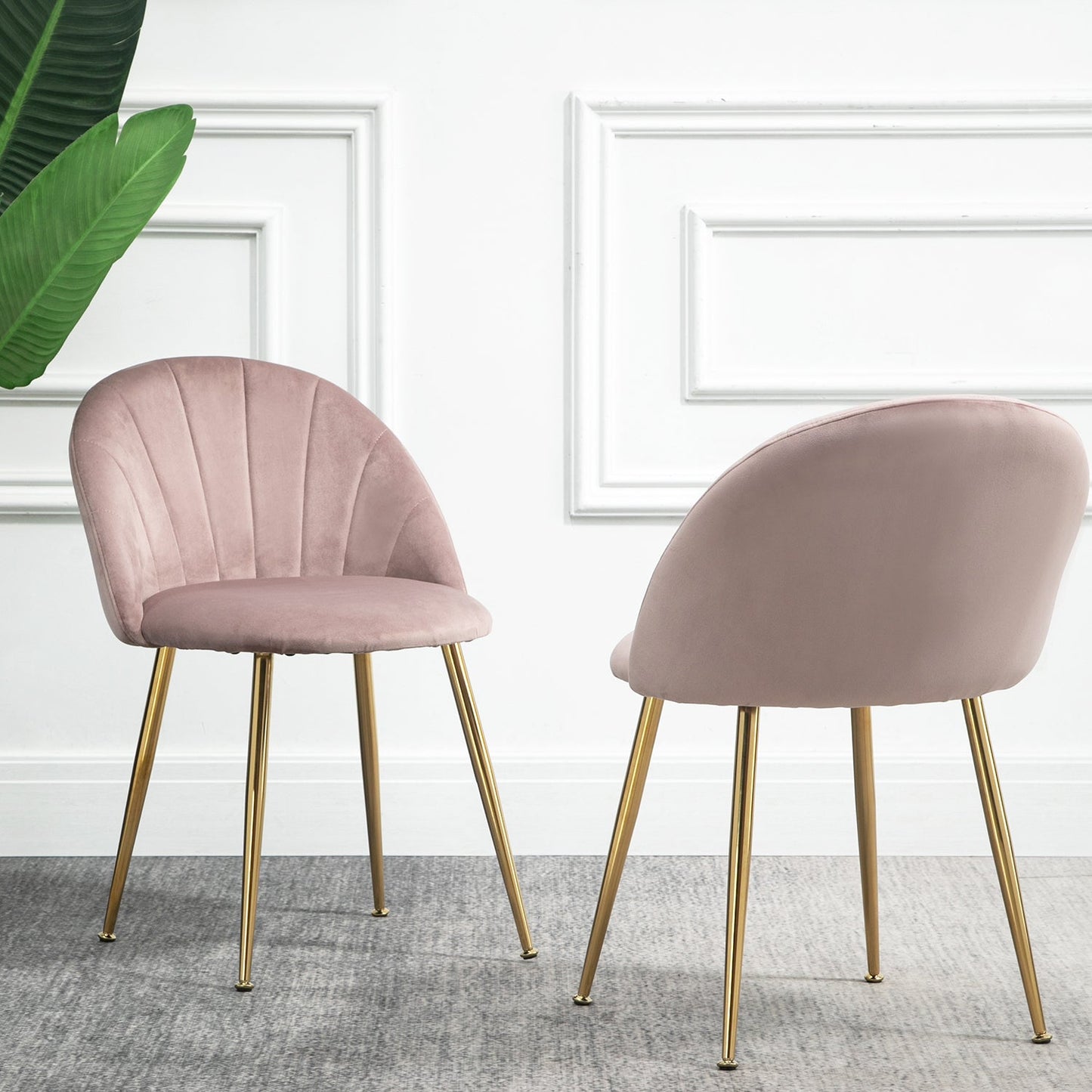 Paire de chaises de salle à manger Milverton en velours avec pieds chromés dorés (rose poudré)
