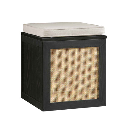 Tabouret de rangement simple en rotin tressé Frances avec coussin, noir