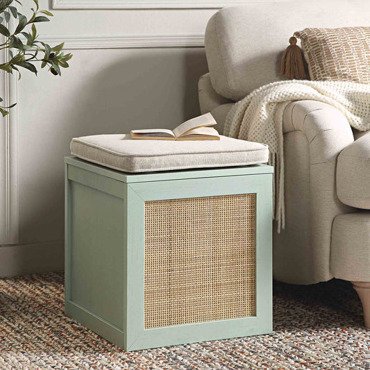Tabouret de rangement simple en rotin tressé Frances avec coussin, menthe