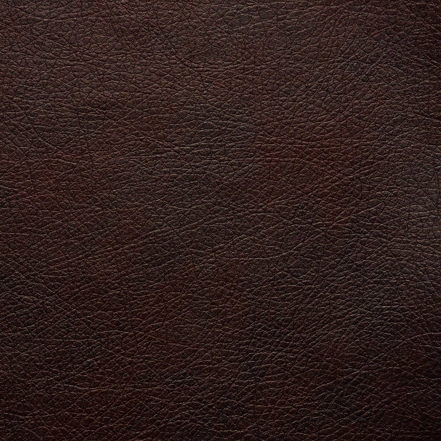 Canapé Serta Palisades 73 avec accoudoirs droits, polyester facile d'entretien, dossier moelleux et coussins d'assise à ressorts ensachés